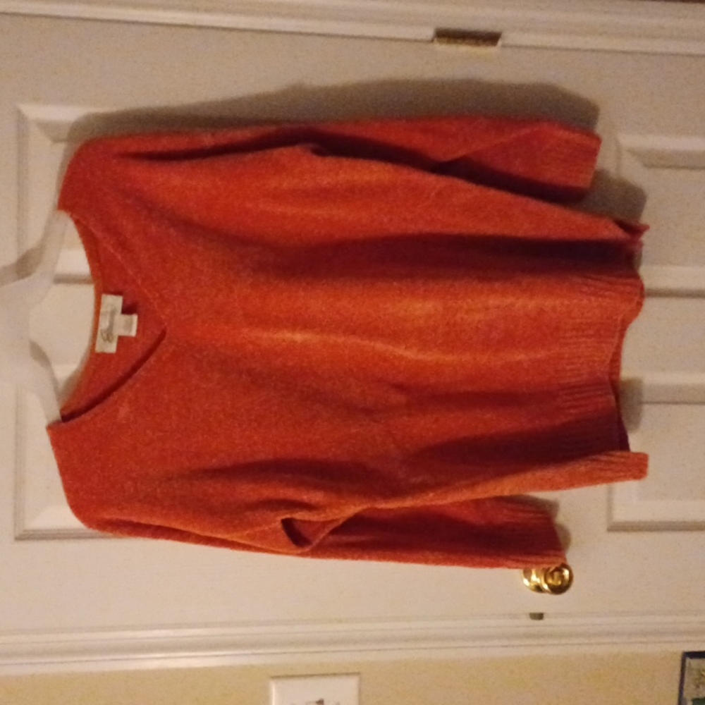 Brand New V-Neck sweater